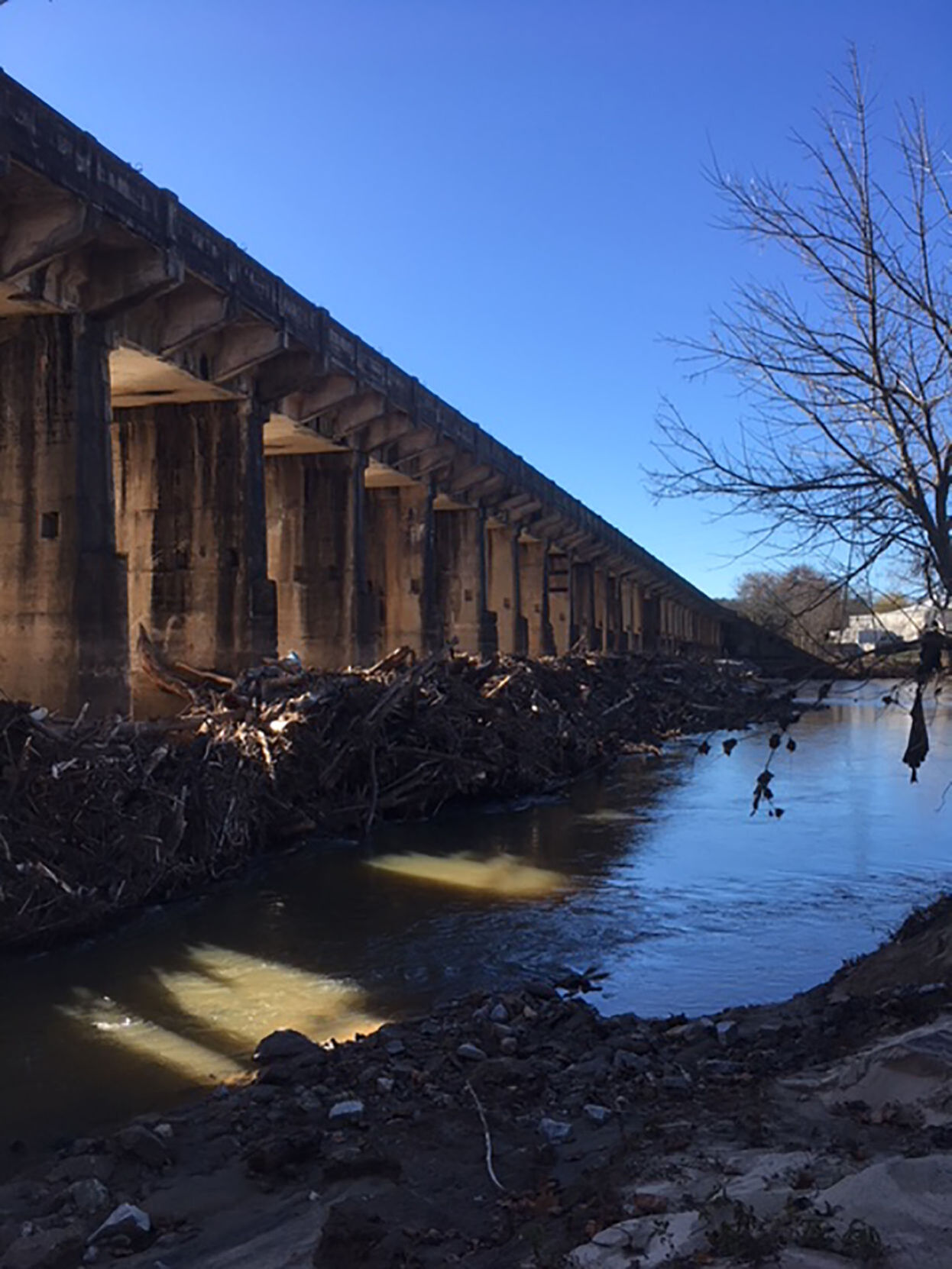 Logjam